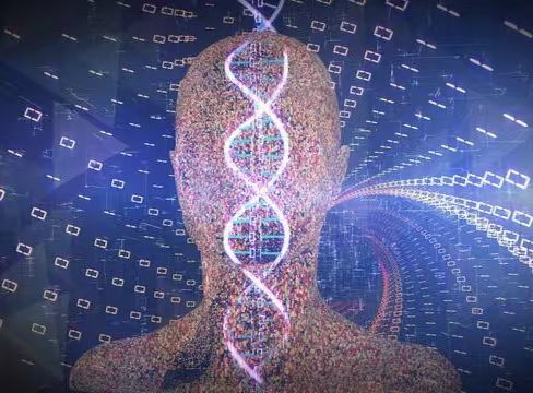 结果儿子非亲生女子大怒：没和别人上过床爱游戏app手机版河南情侣做亲子鉴定(图4)