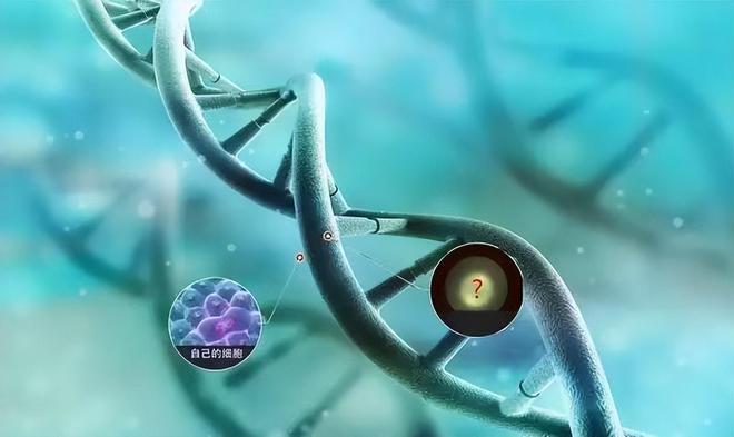 结果儿子非亲生女子大怒：没和别人上过床爱游戏app手机版河南情侣做亲子鉴定(图6)