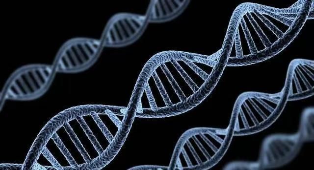 结果儿子非亲生女子大怒：没和别人上过床爱游戏app手机版河南情侣做亲子鉴定(图8)