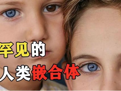 结果儿子非亲生女子大怒：没和别人上过床爱游戏app手机版河南情侣做亲子鉴定(图10)