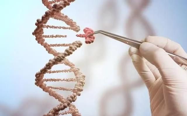 结果儿子非亲生女子大怒：没和别人上过床爱游戏app手机版河南情侣做亲子鉴定(图17)