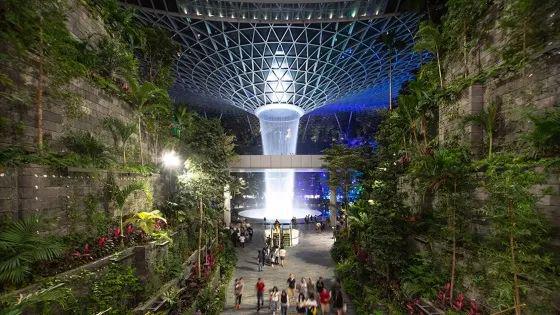 ！已有人入境时被捕、被判坐牢20周…爱游戏最新来新加坡千万不要带这些东西(图5)