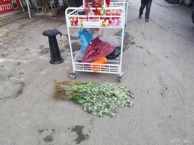 假期最不能做的5件事别忘了告诉家人爱游戏